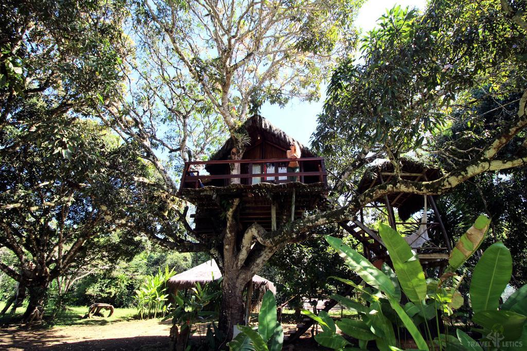 Art Jungle Itacaré Exterior photo