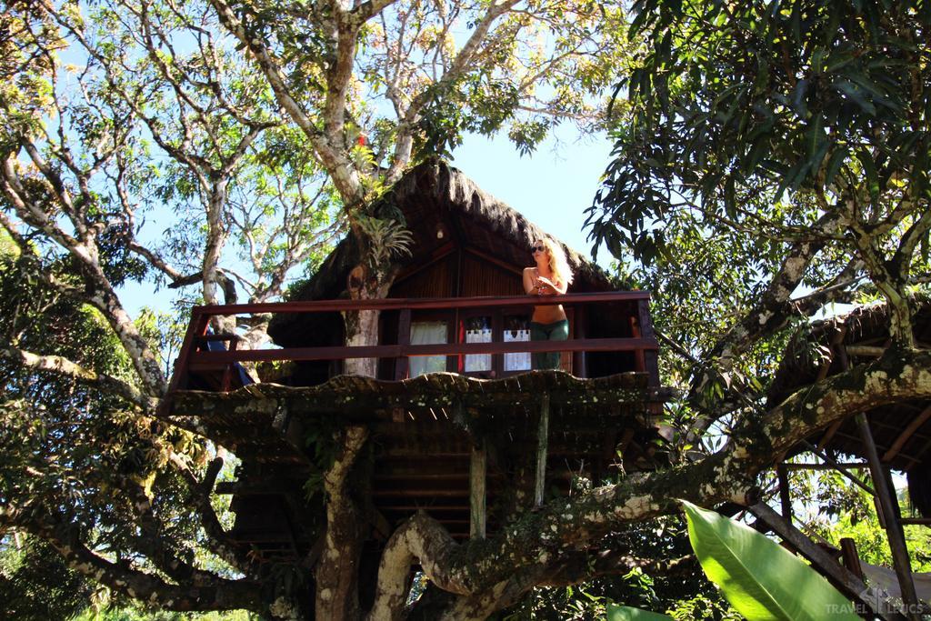 Art Jungle Itacaré Exterior photo