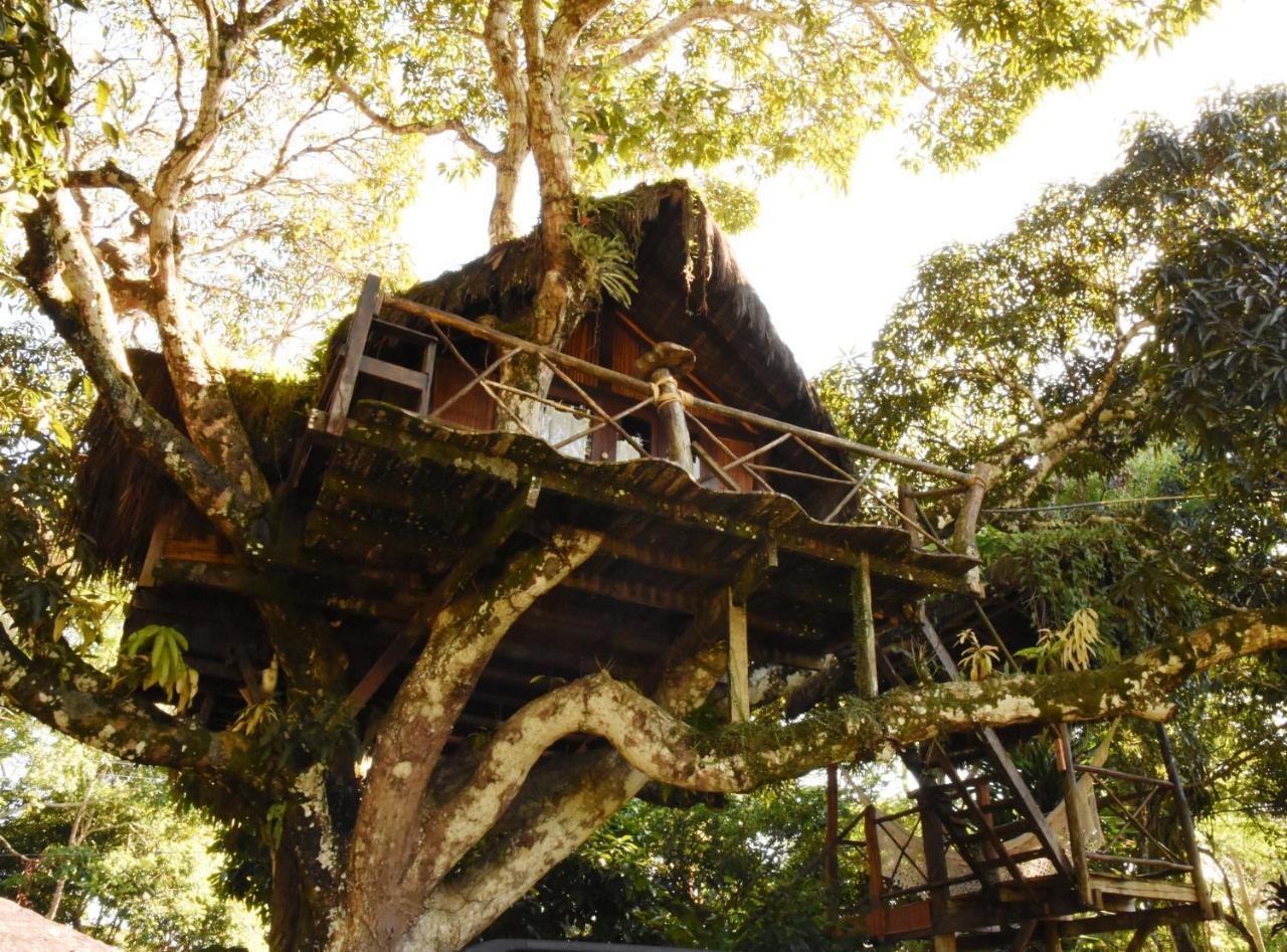 Art Jungle Itacaré Exterior photo